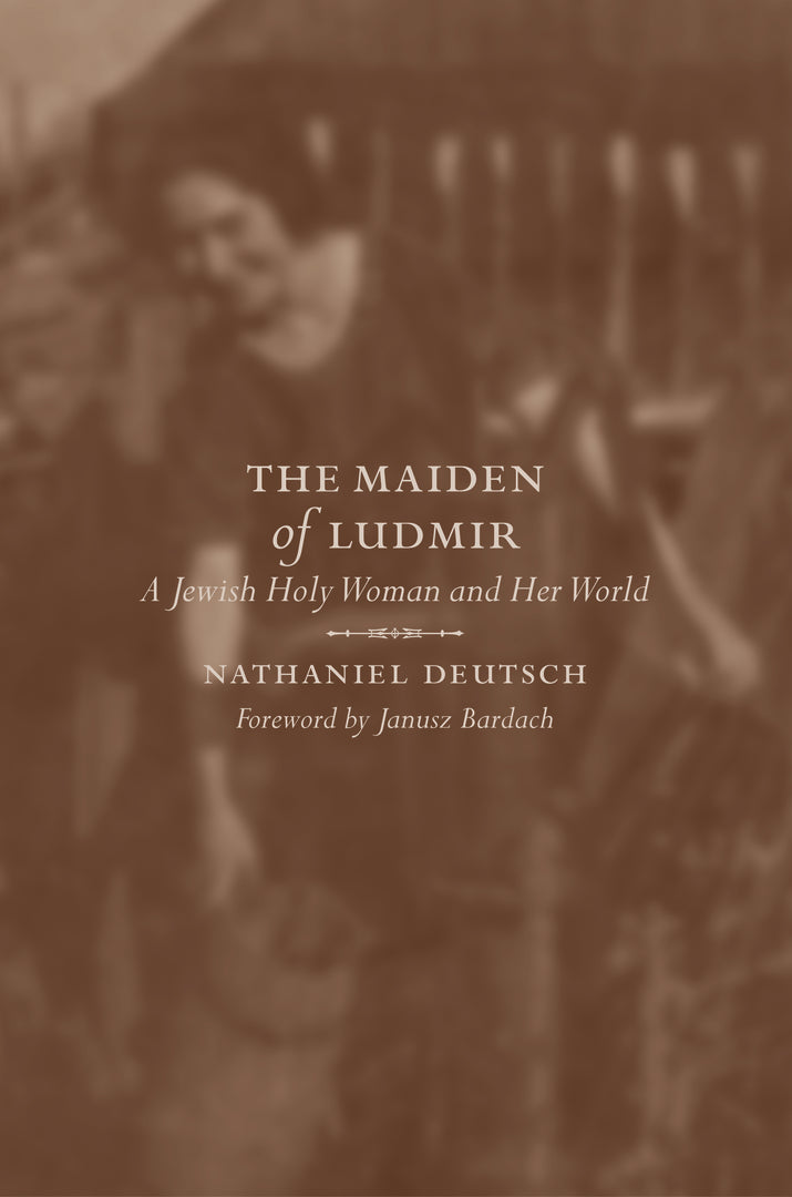 Cover image for The Maiden of Ludmir ISBN 9780520231917